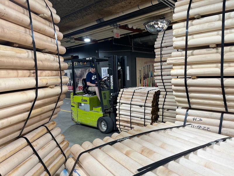 Watching Bats Take Shape Is Weirdly Mesmerizing