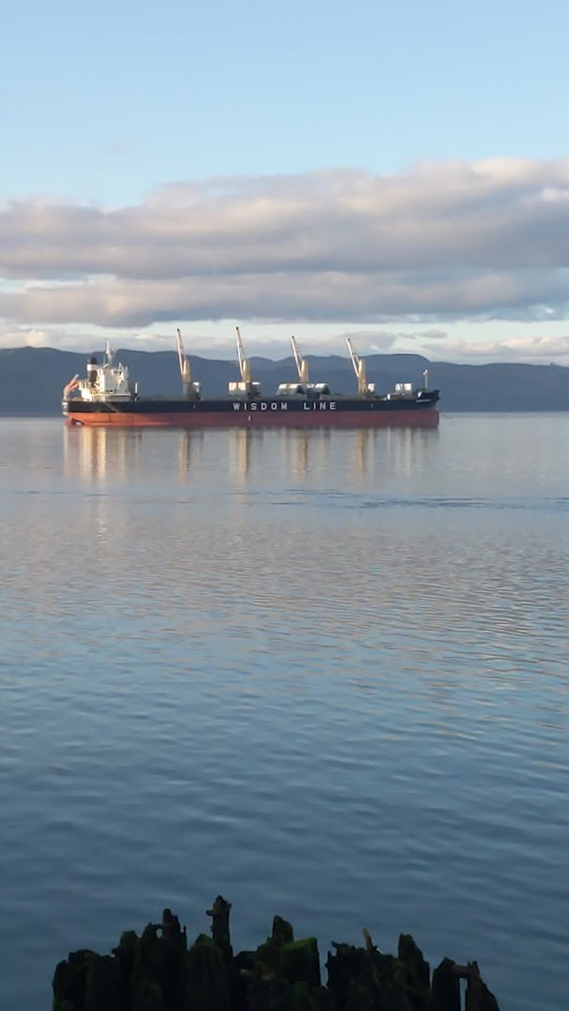 Watching Massive Cargo Ships Pass By Watching Massive Cargo Ships Pass By