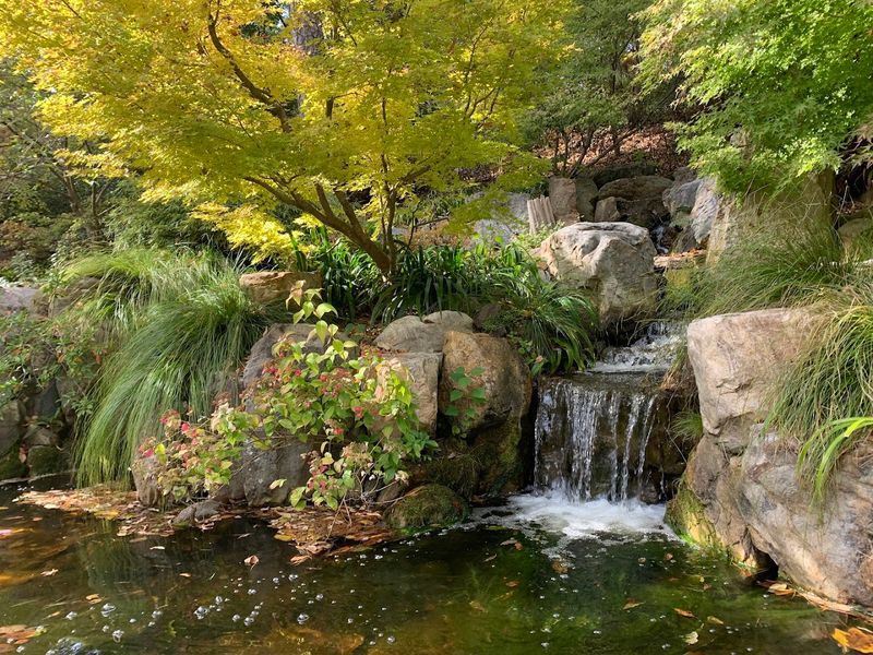 Water Features Make Everything Softer Water Features Make Everything Softer