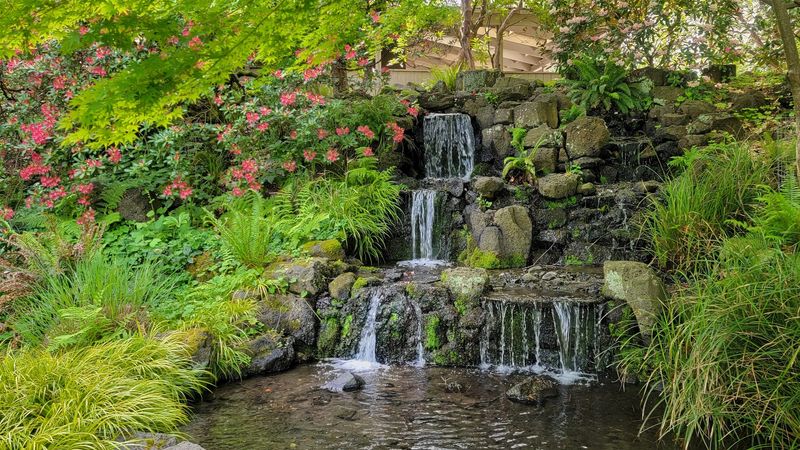 Water Features That Give the Garden Its Soul Water Features That Give the Garden Its Soul
