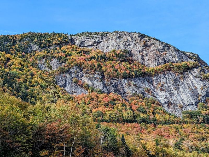 Webster Cliffs Towering Above the Tree Line