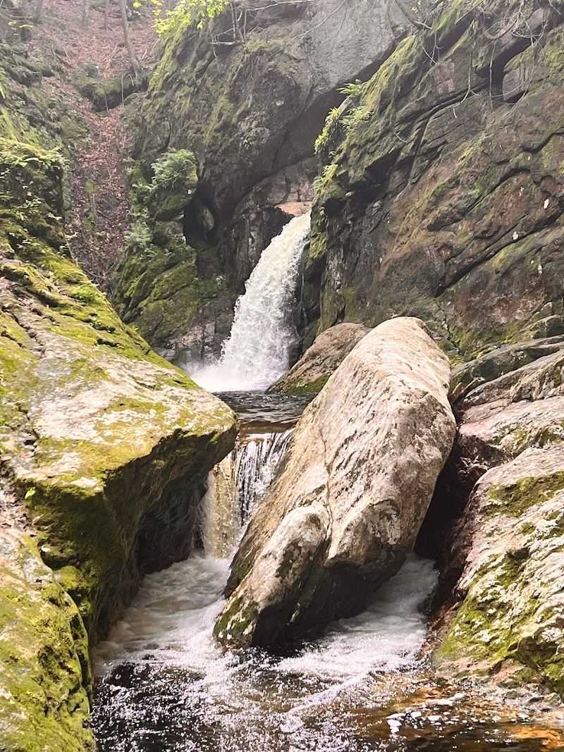 Welton Falls, Alexandria