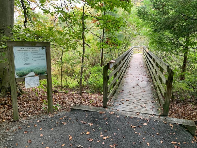West Virginia Botanic Garden Wetland Boardwalk