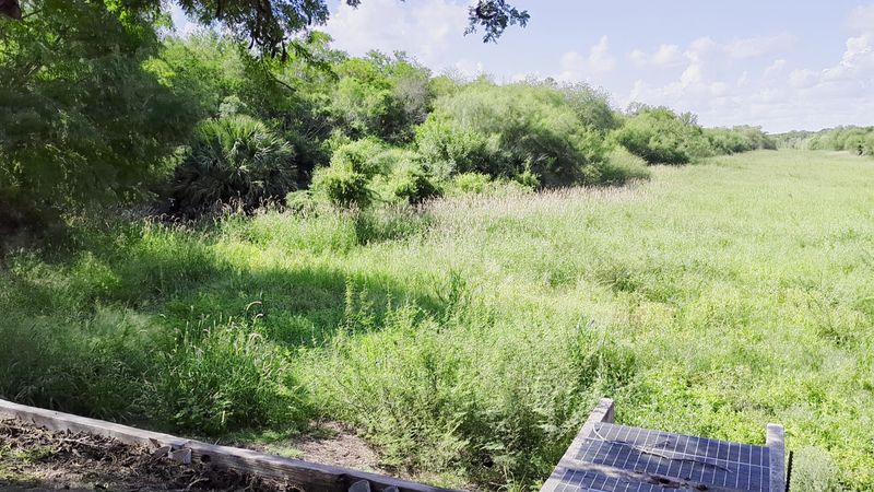 Wetlands Teeming With Life Around Every Bend