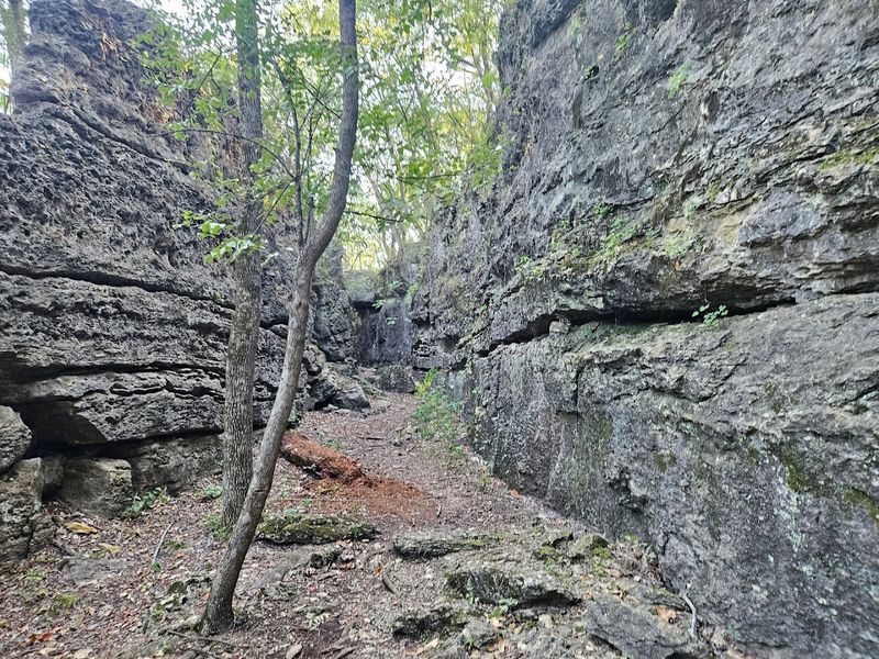 What 15 Miles of Rugged Terrain Actually Means