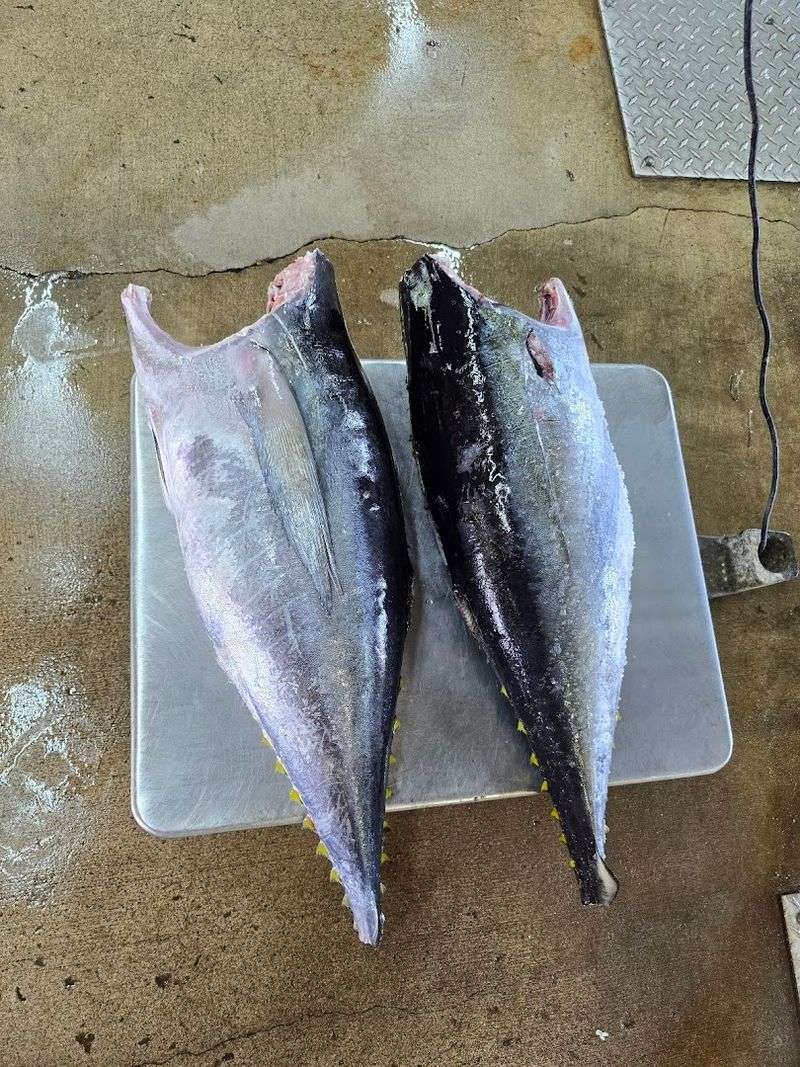What Actually Feels Fresh