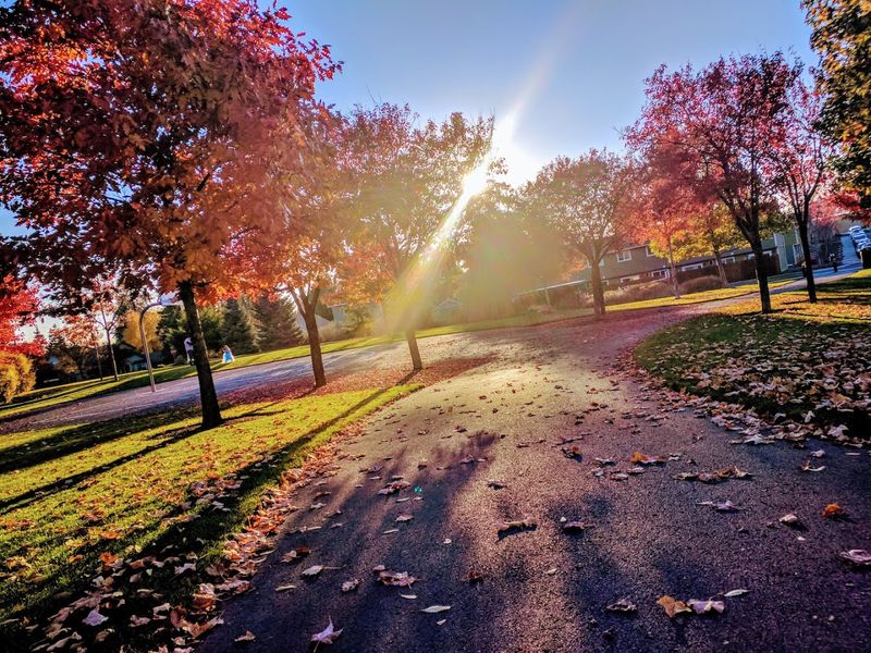 What Else to Explore Near Orchard Park