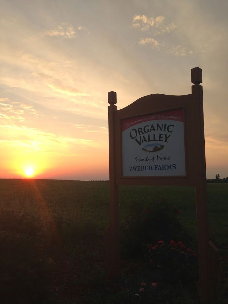 What It Means to Be Organic Valley Certified