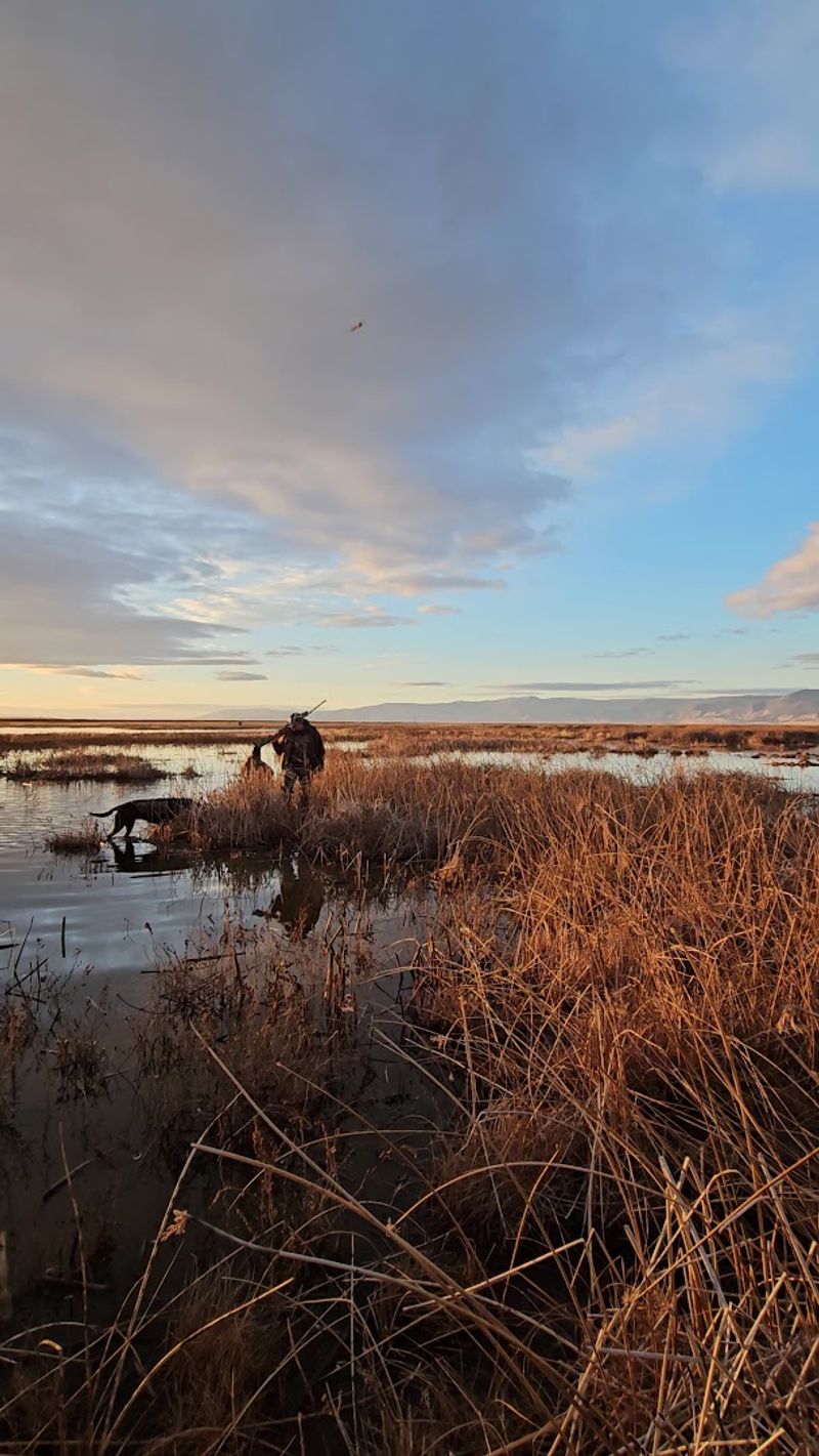 What Makes Summer Lake Wildlife Area So Special