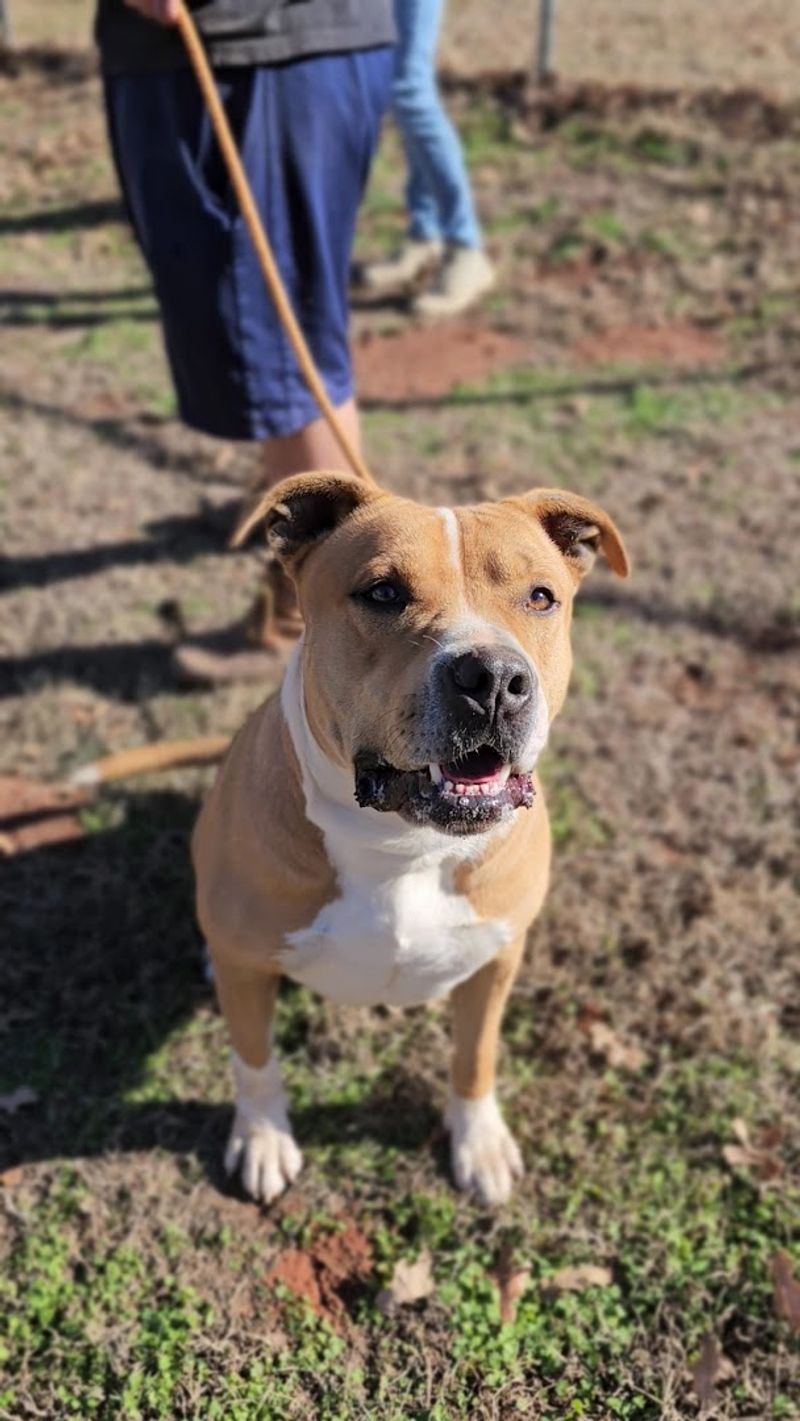 What Makes This a No-Kill Sanctuary