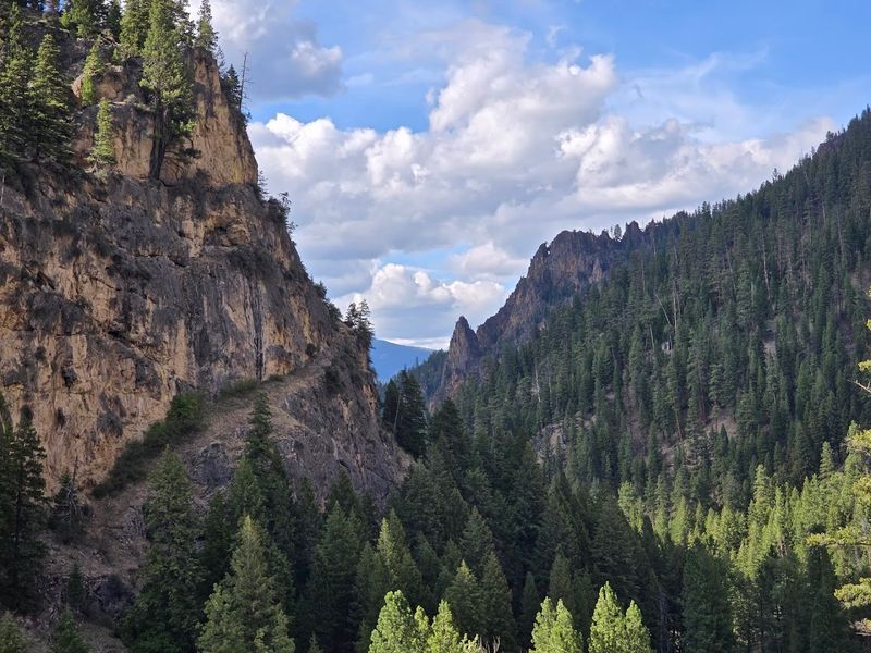What No Cell Service Actually Does to Your Brain