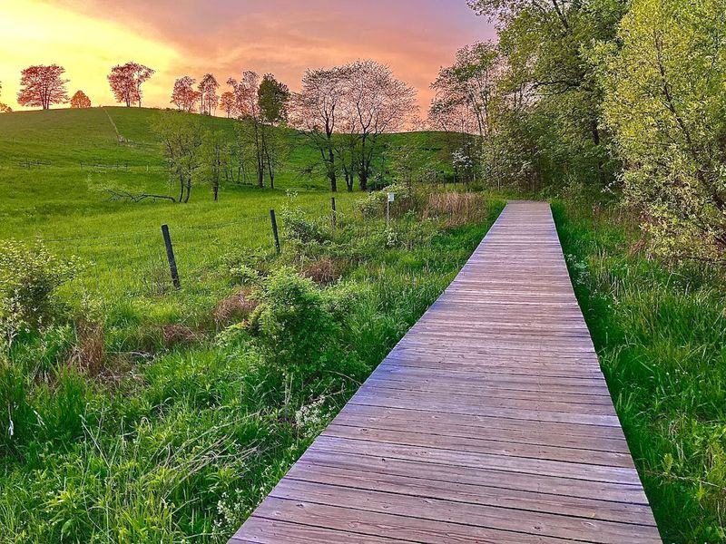 What the Preserve Feels Like Beyond the Bridge What the Preserve Feels Like Beyond the Bridge