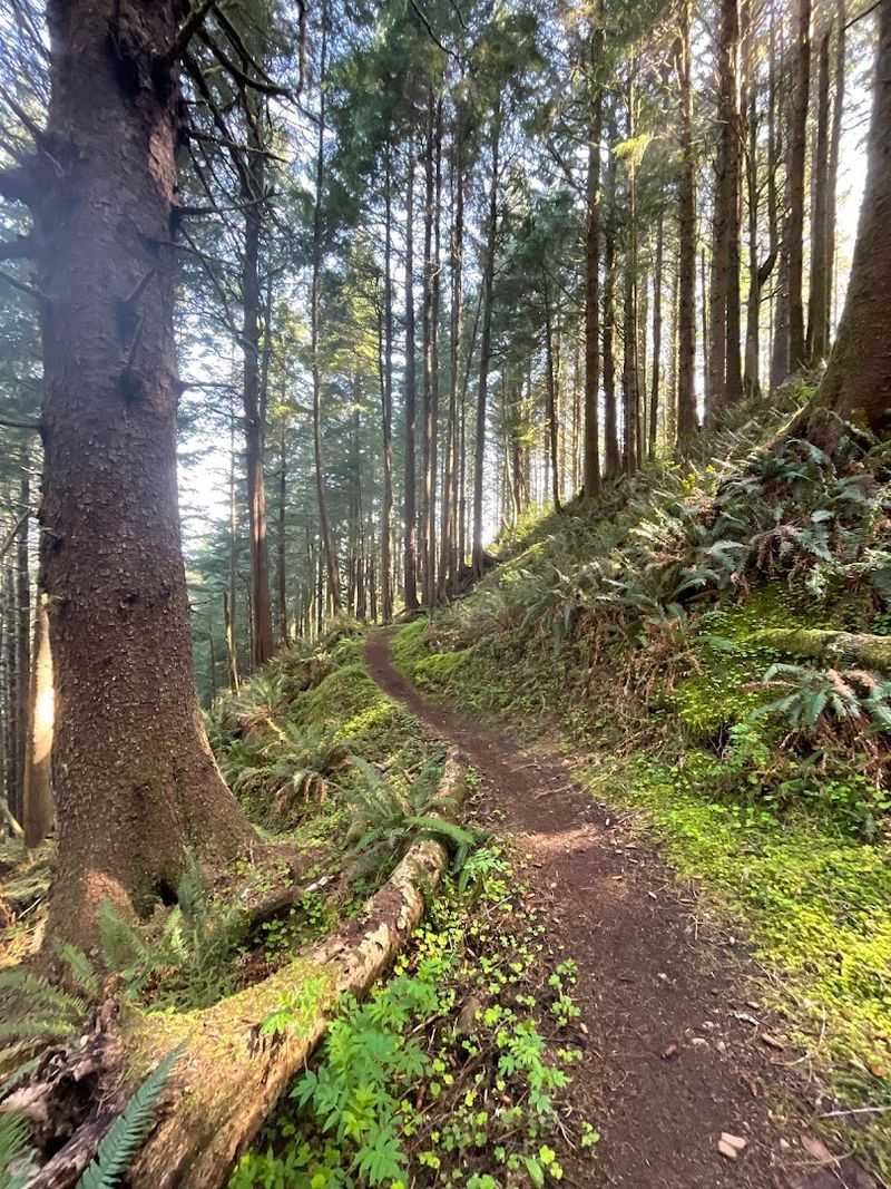 What to Expect on the Trail