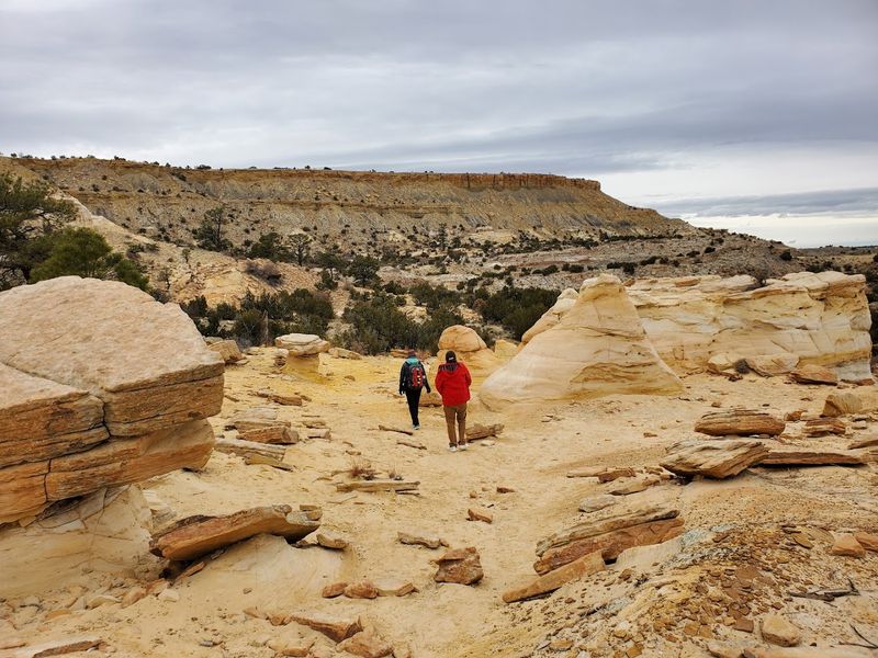 What to Know Before You Head Out to Ojito Wilderness
