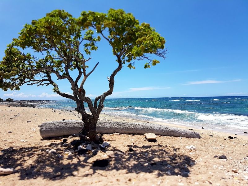 What to Pack: Gear That Makes the Hike and Beach Day Much Better