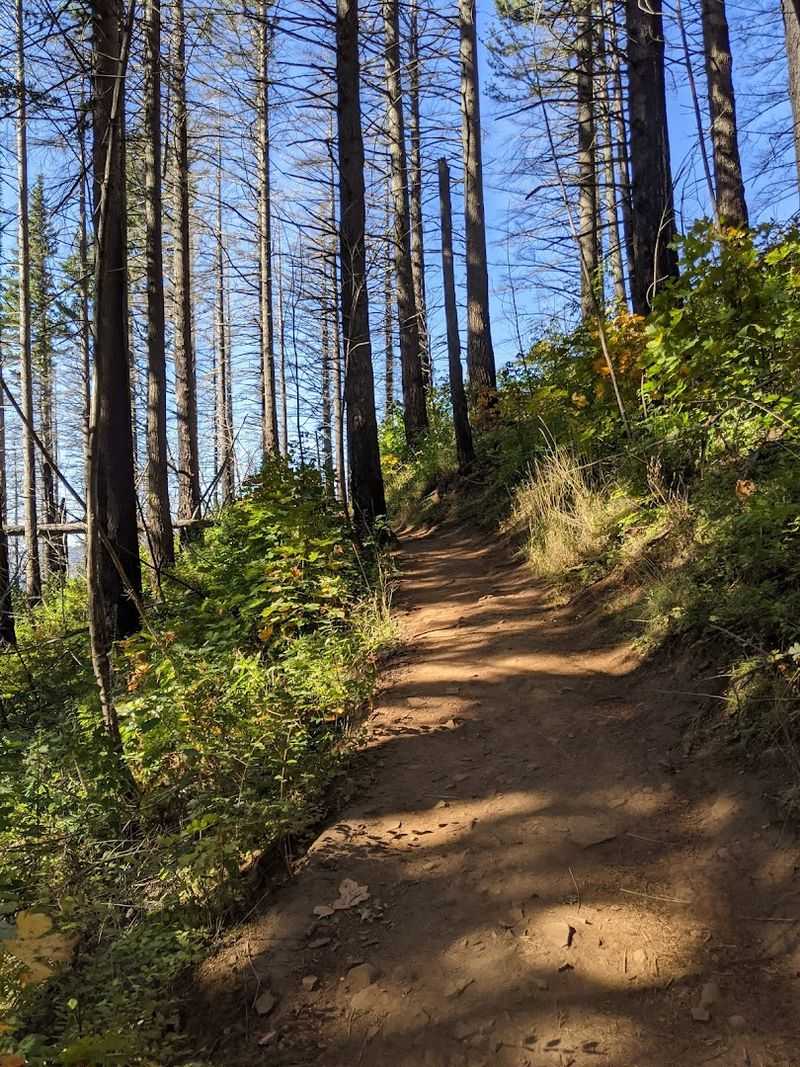 What to Wear and Pack for This Hike