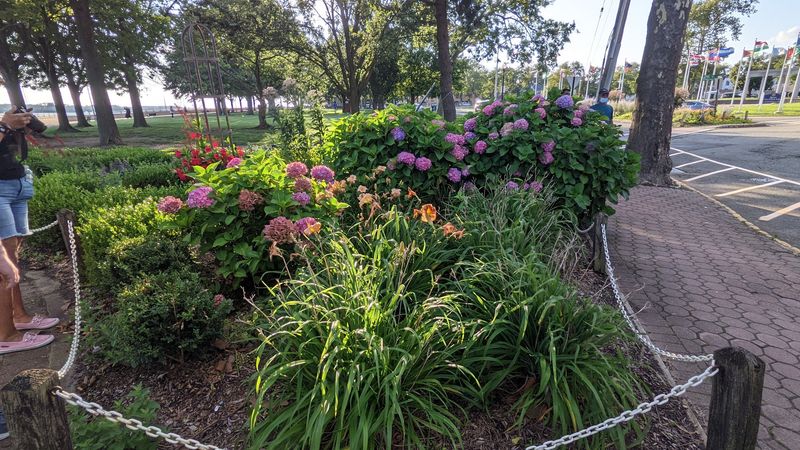 Wheelchair-Accessible Pathways