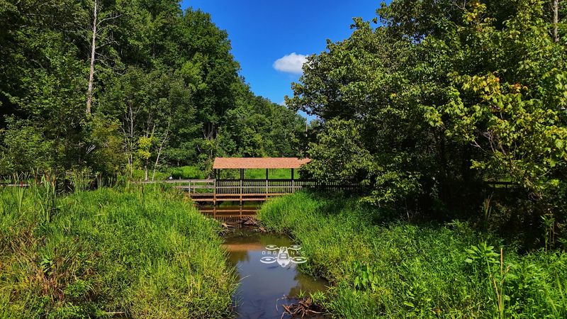 When to Visit: Timing Your Trip for Peak Peeper Season
