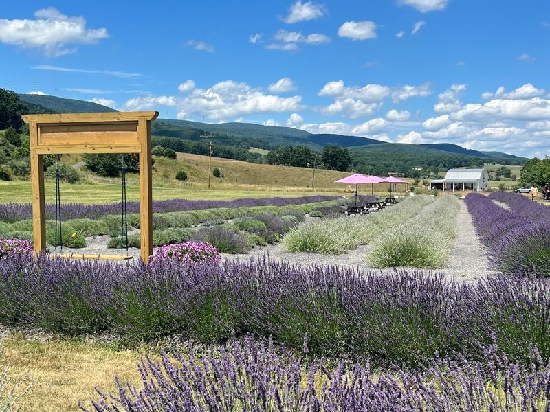 When to Visit and What to Expect on Arrival