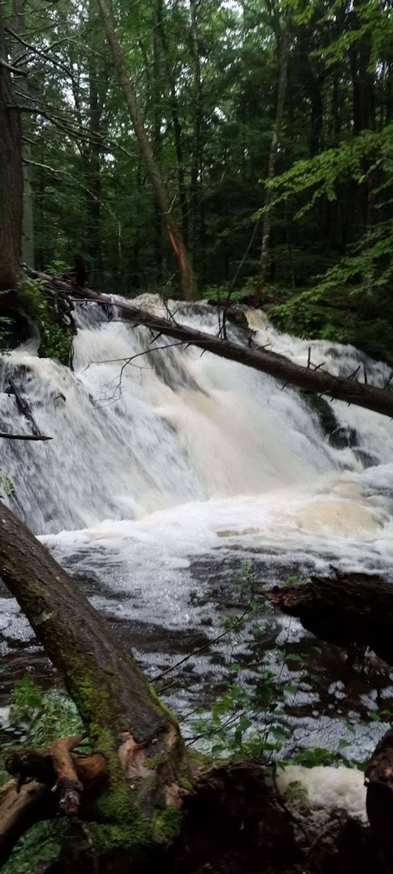 Where Stony Brook Falls Hides in Plain Sight Where Stony Brook Falls Hides in Plain Sight