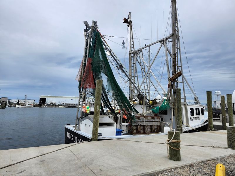 Where The Boats And The Counter Meet
