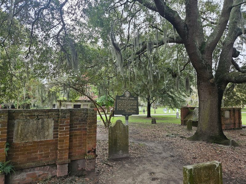 Where You Find It In Savannah