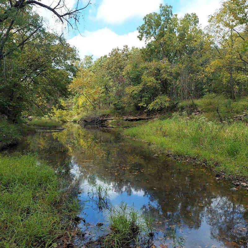 Whetstone Creek Conservation Area, Where the Town Quietly Meets the Wild