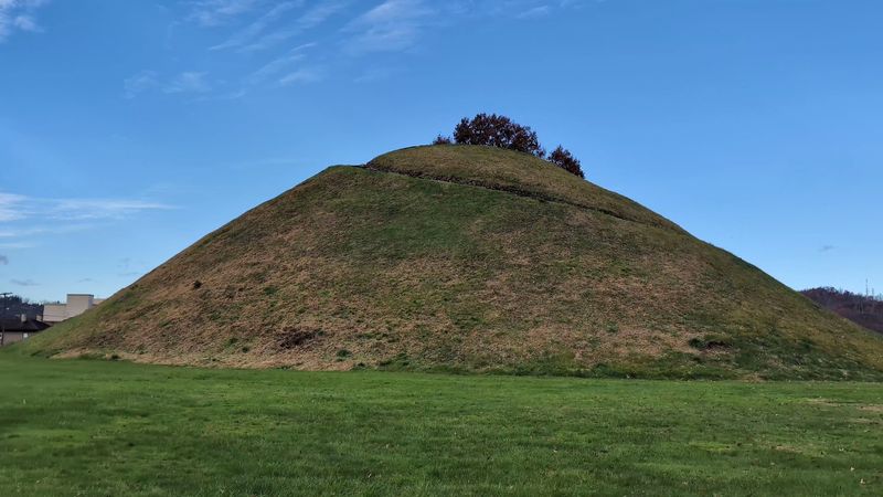 Who Actually Built This Thing