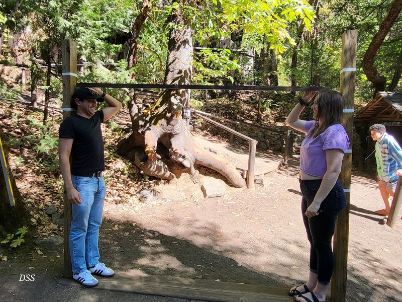 Who Will Enjoy the Oregon Vortex Most Who Will Enjoy the Oregon Vortex Most