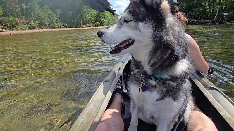 Why Autumn Is the Secret Best Season for Saco River Tubing