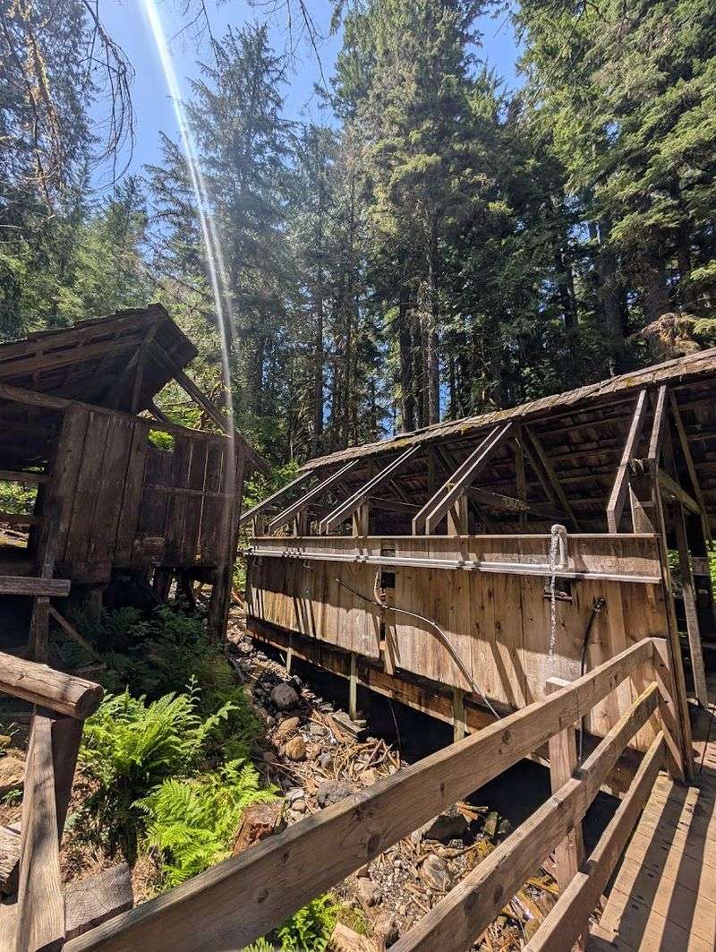 Why Bagby Hot Springs Feels Unlike Any Other Oregon Destination