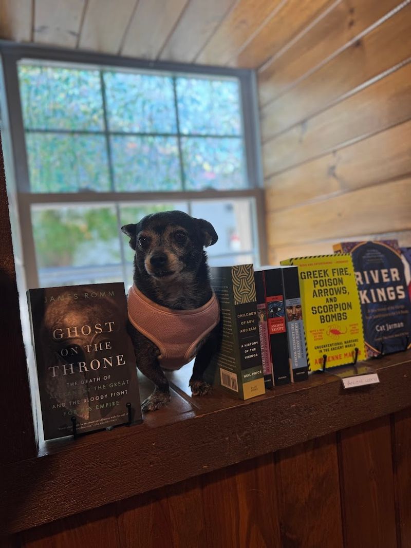 Why Black Dog Books Is the Kind of Place You Tell Everyone About