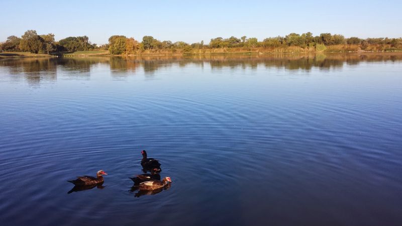 Why Eagle Lake Park Is Worth the Trip from Oklahoma City Why Eagle Lake Park Is Worth the Trip from Oklahoma City