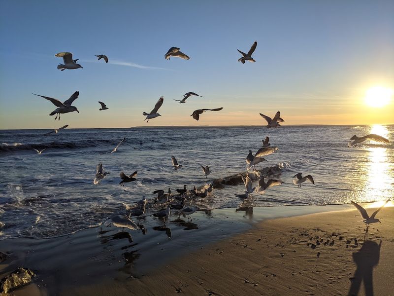 Why Fort Tilden Feels Like New York's Best Kept Secret