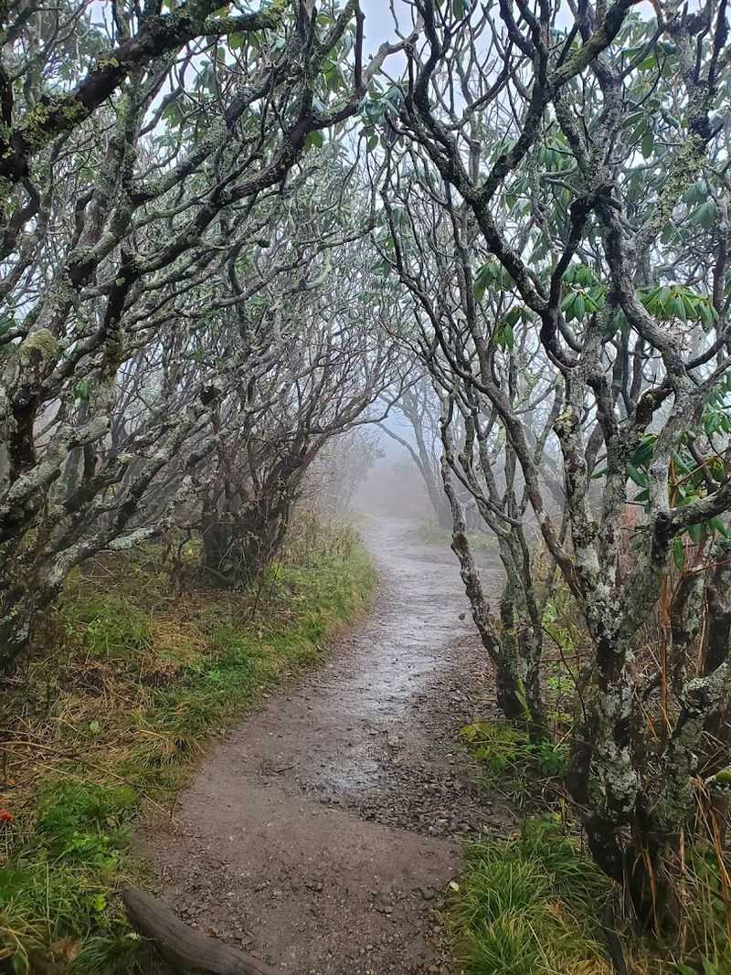 Why It Feels Like A Storybook