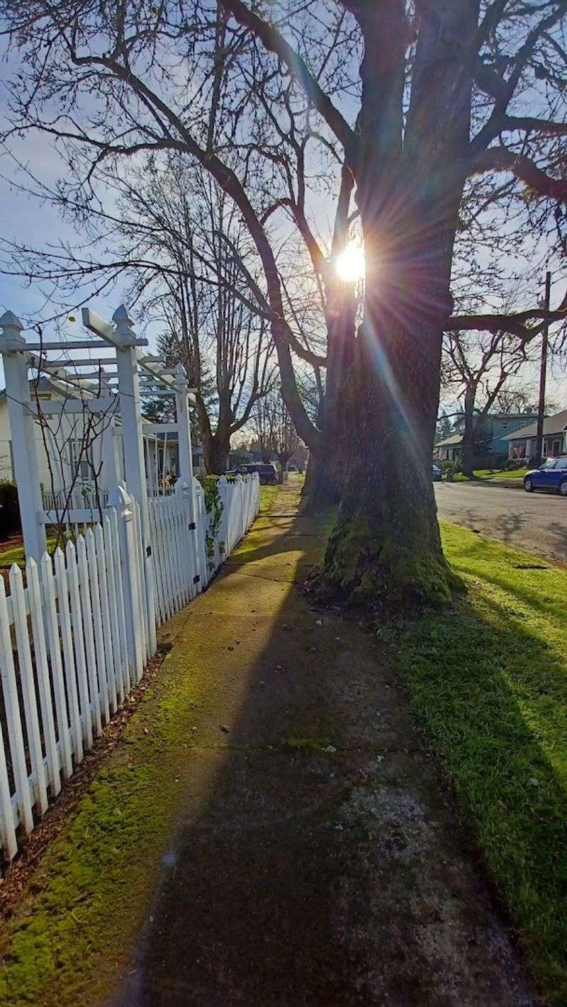 Why People Who Move Here Tend to Stay