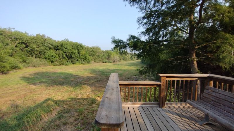 Why Resaca de la Palma Is One Of Texas's Most Important Natural Places