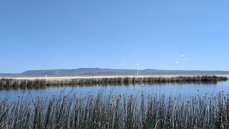 Why Summer Lake Matters for Conservation