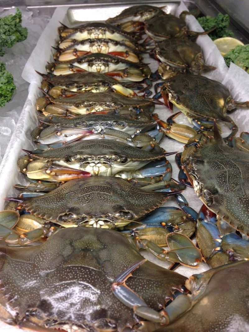 Why The Crabs Still Matter So Much