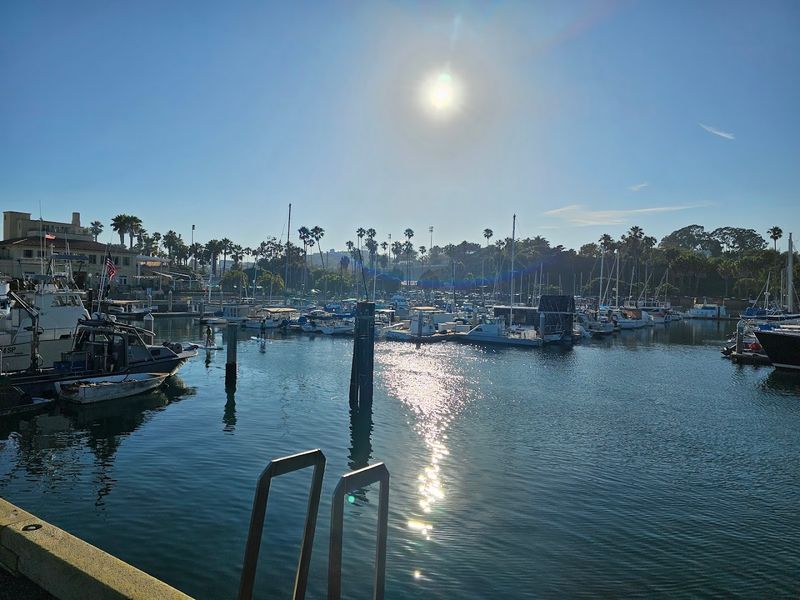 Why The Harbor Makes It Better
