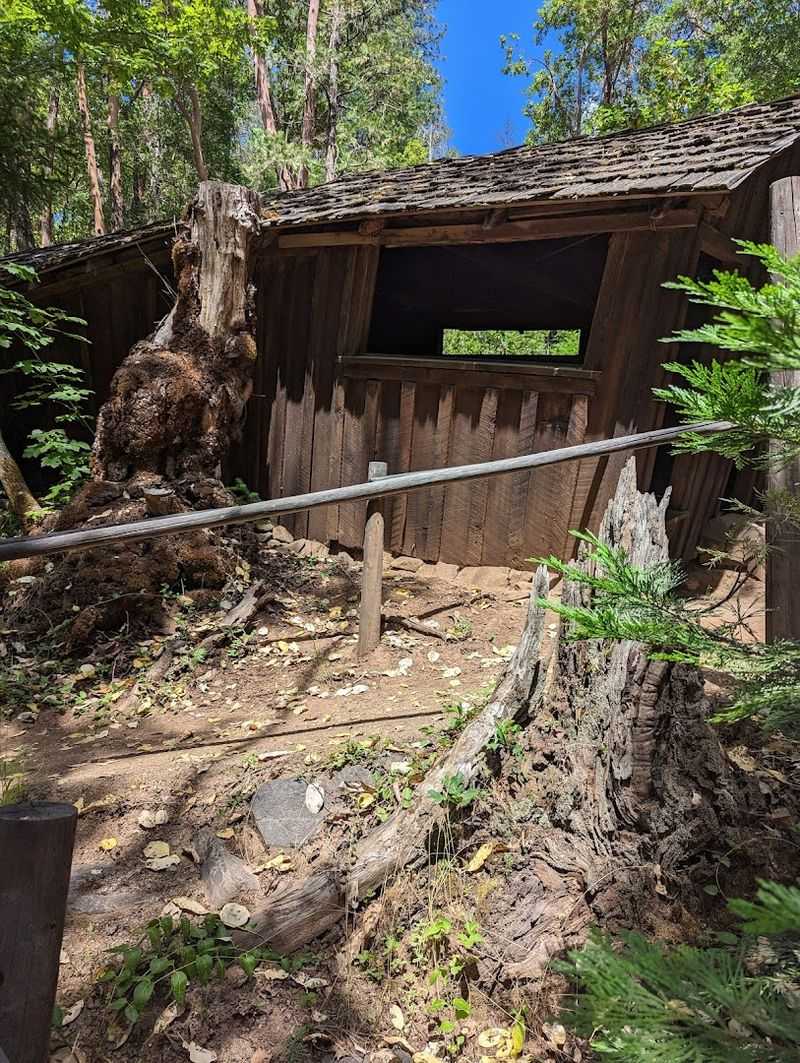Why This Attraction Is Fighting to Stay Alive Why This Attraction Is Fighting to Stay Alive