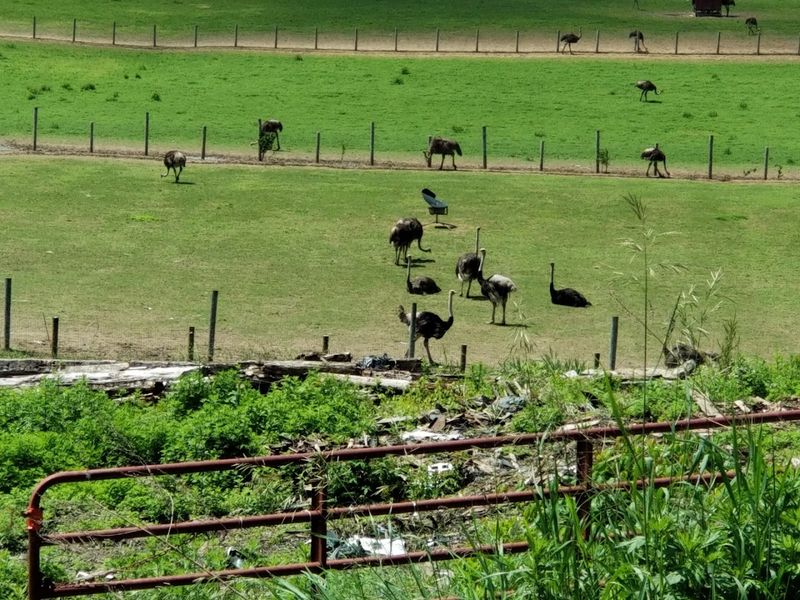 Why This Farm Deserves a Spot on Your New Jersey Bucket List