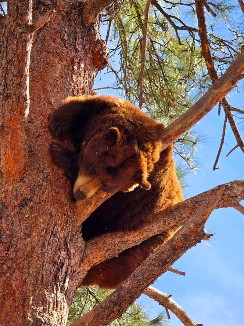 Why This Is One Of The Most Fun Stops In Arizona