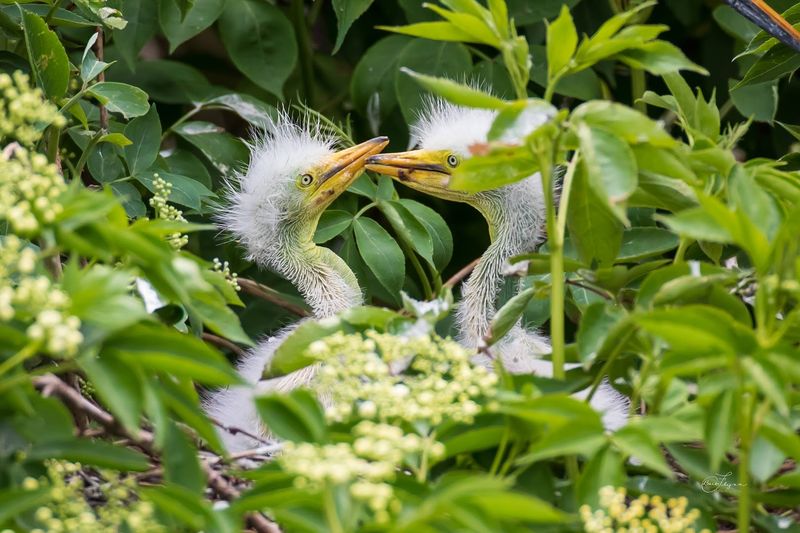 Why This Place Deserves a Spot on Every Birder's Map Why This Place Deserves a Spot on Every Birder's Map