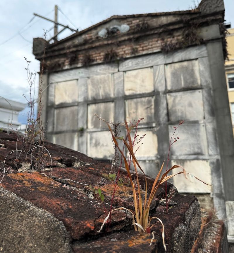 Why This Place Lingers Long After You Leave