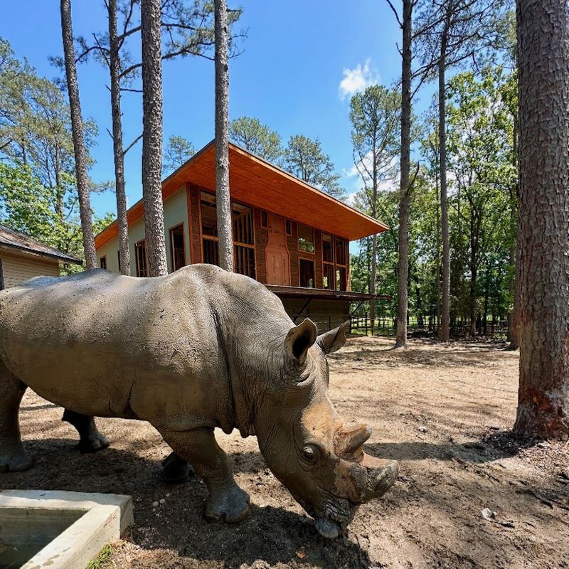 Why This Safari Park Belongs on Every Oklahoma Bucket List Why This Safari Park Belongs on Every Oklahoma Bucket List