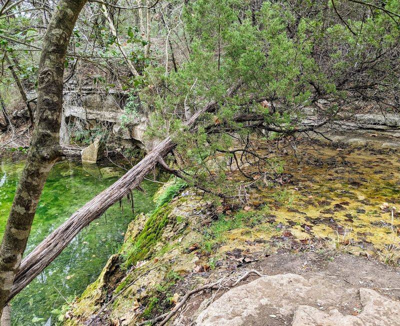 Why Wild Basin Stands Apart From Other Austin Green Spaces