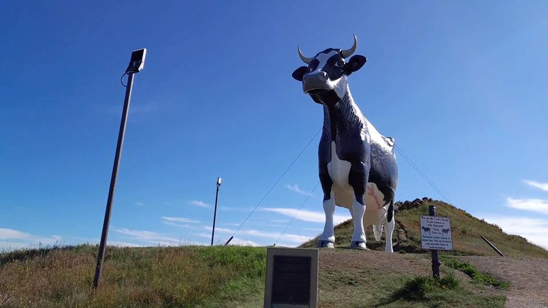 Why a Giant Cow? The Dairy Farming History Behind the Statue