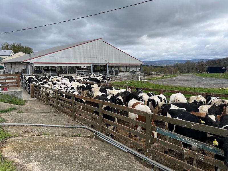 Why the Maryland Ice Cream Trail Belongs on Your Summer List Why the Maryland Ice Cream Trail Belongs on Your Summer List