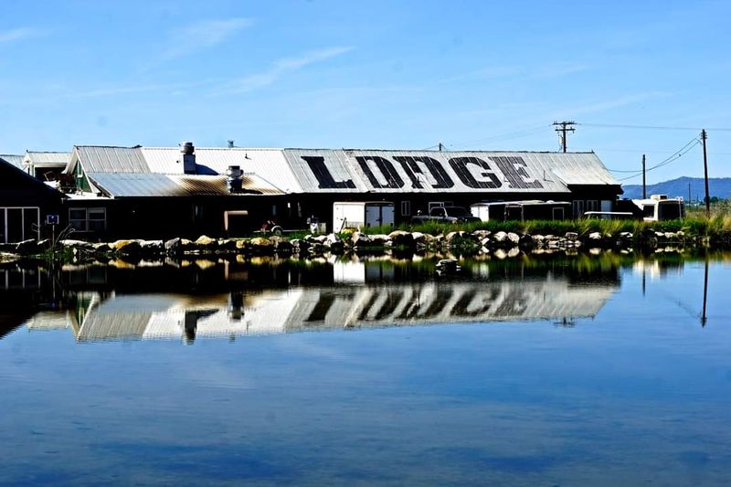 Why the Neon Cowboy Deserves a Spot on Your Road Trip Map